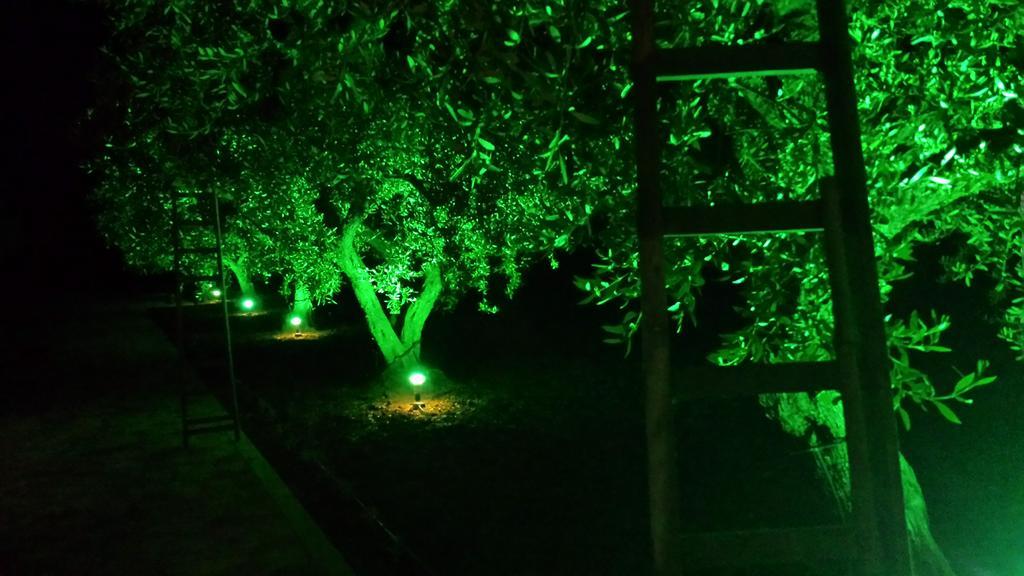 Agrisicilia Guest House มารีเนลลา ดี เซลีนุนเต ภายนอก รูปภาพ